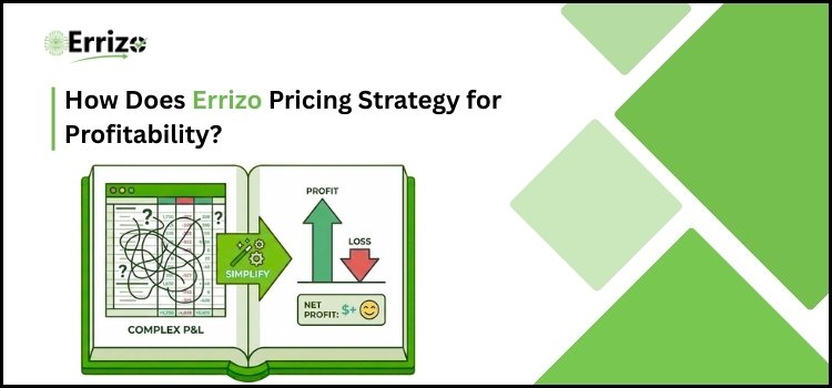 Pricing Strategies by Errizo